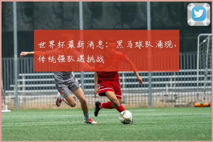 世界杯最新消息：黑马球队涌现，传统强队遇挑战