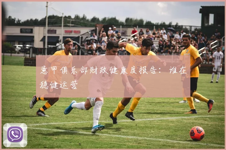 意甲俱乐部财政健康度报告：谁在稳健运营