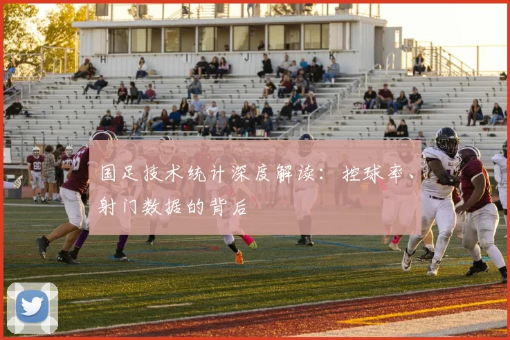 国足技术统计深度解读:控球率、射门数据的背后